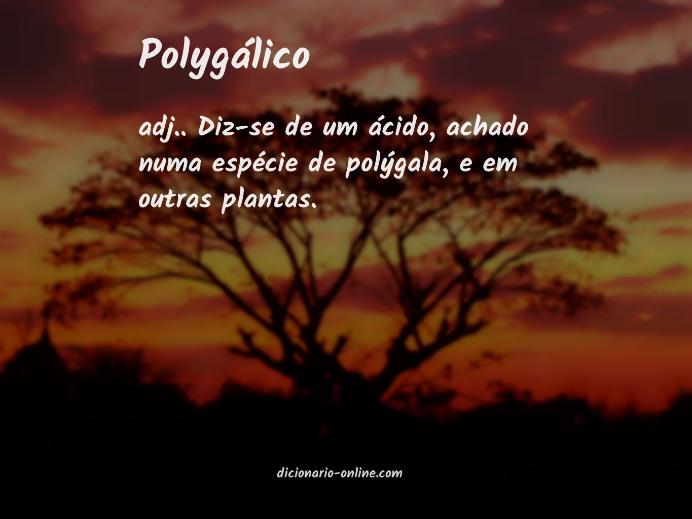 Significado de polygálico