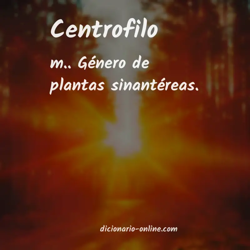 Significado de centrofilo