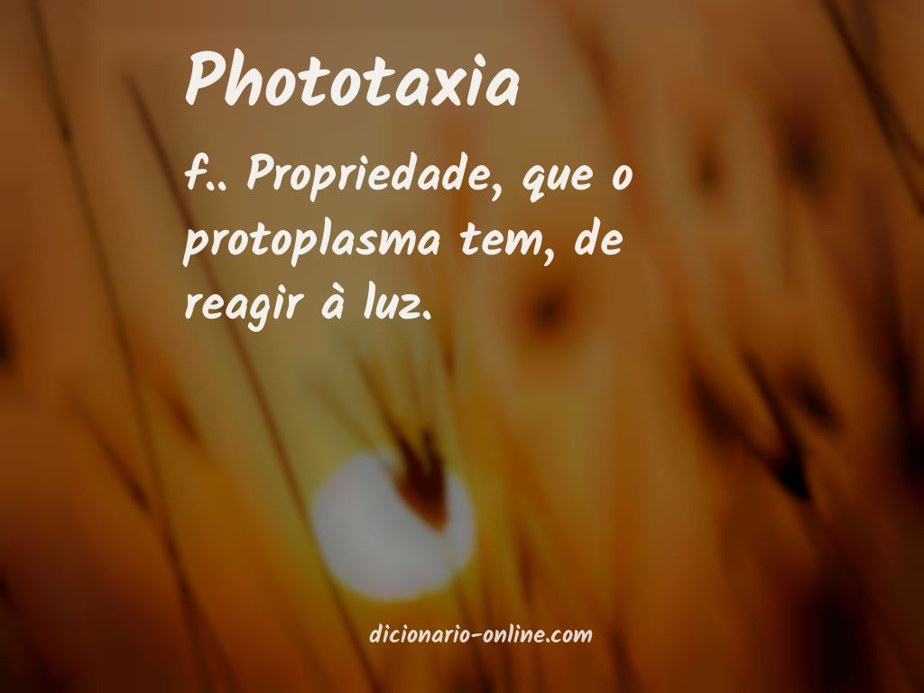 Significado de phototaxia