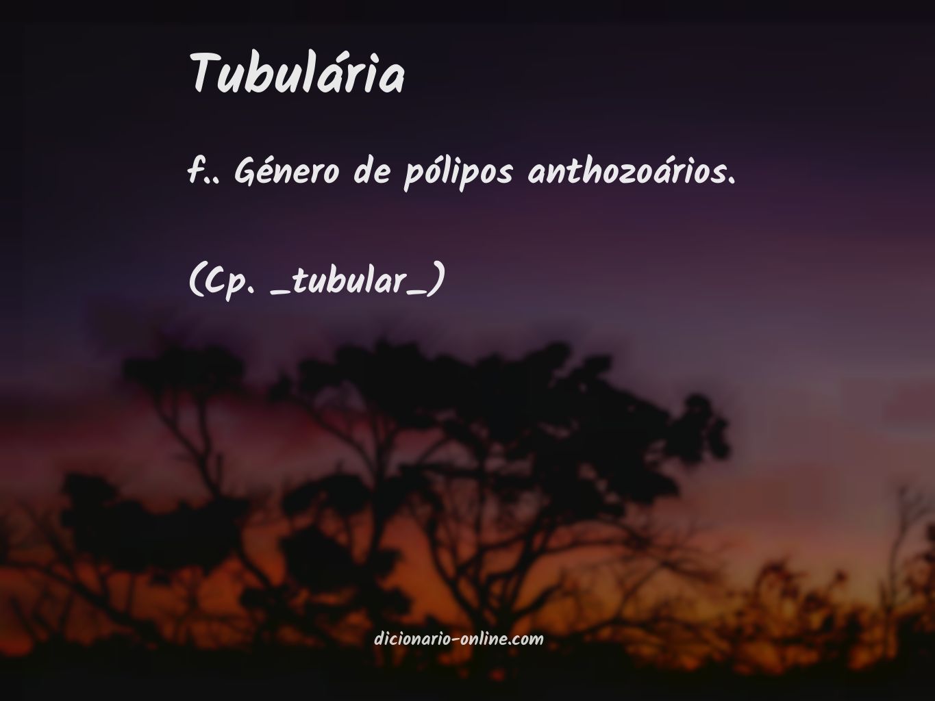 Significado de tubulária