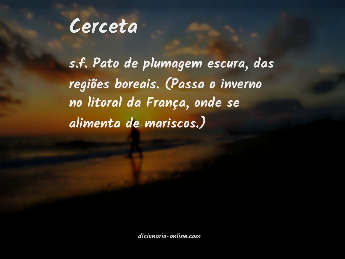 Significado de cerceta