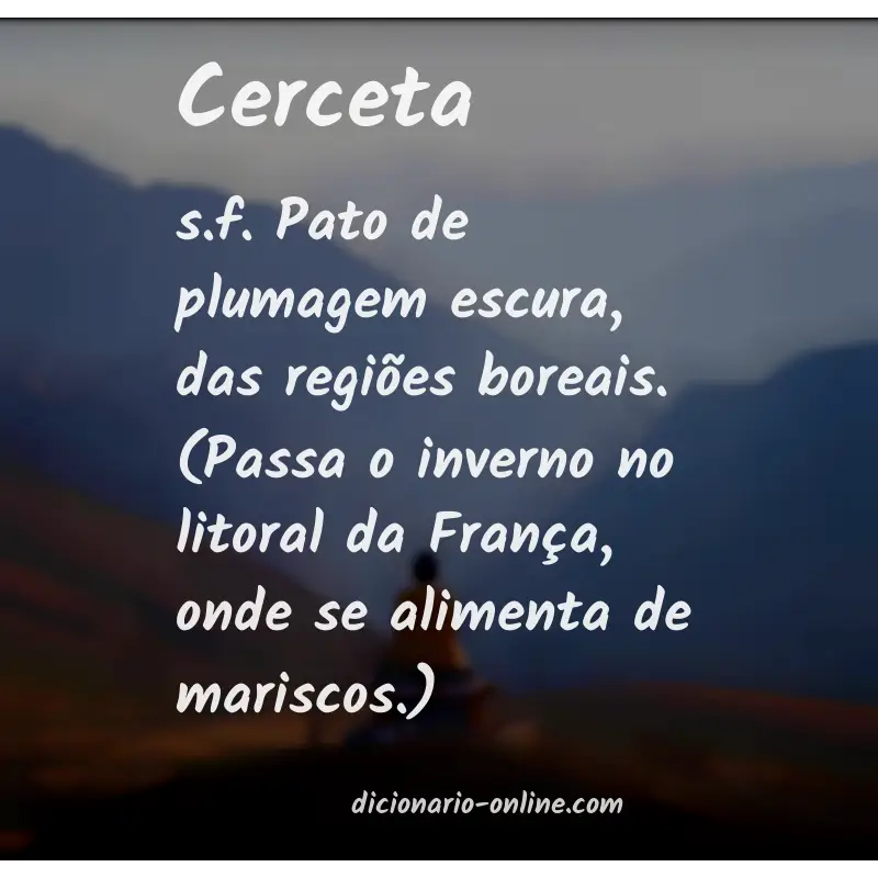 Significado de cerceta