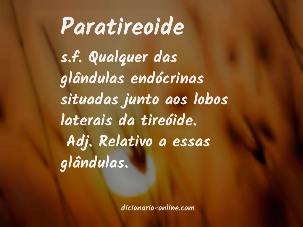 Significado de paratireoide