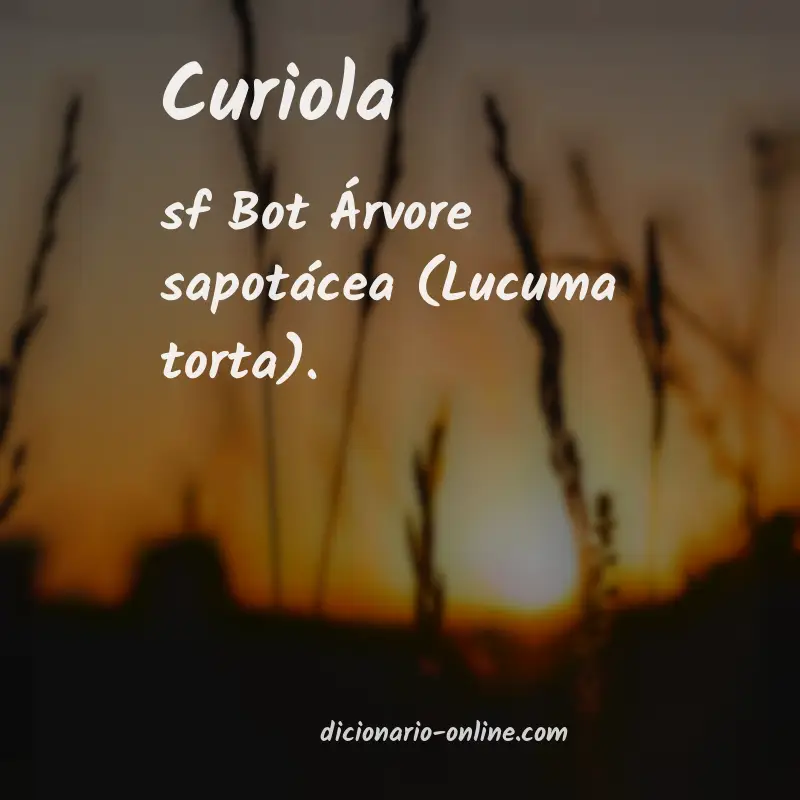 Significado de curiola
