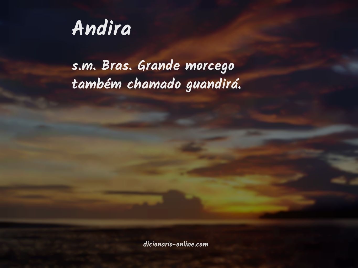 Significado de andira