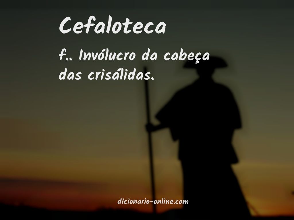 Significado de cefaloteca