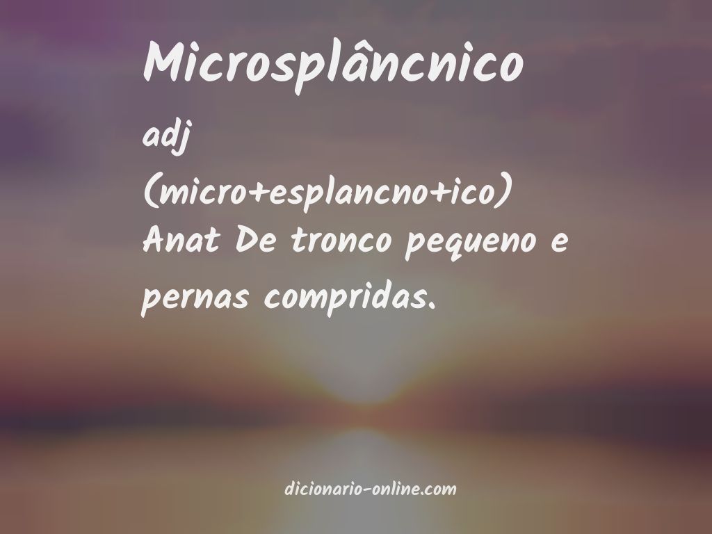 Significado de microsplâncnico