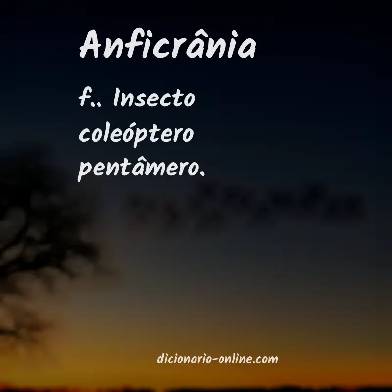 Significado de anficrânia