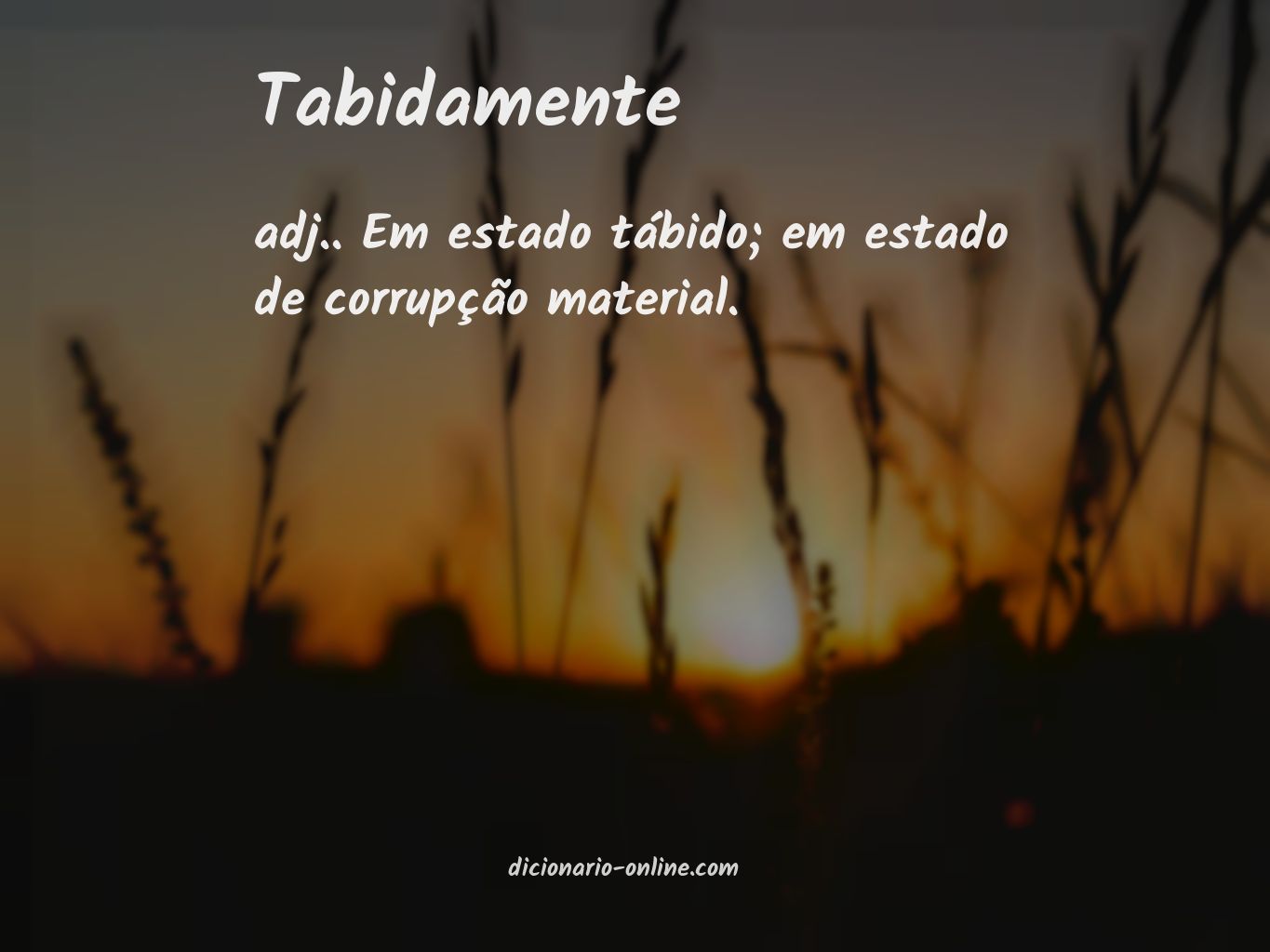 Significado de tabidamente