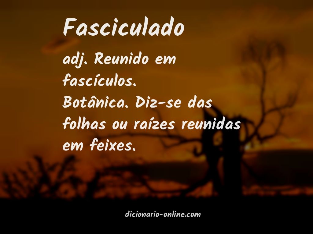 Significado de fasciculado