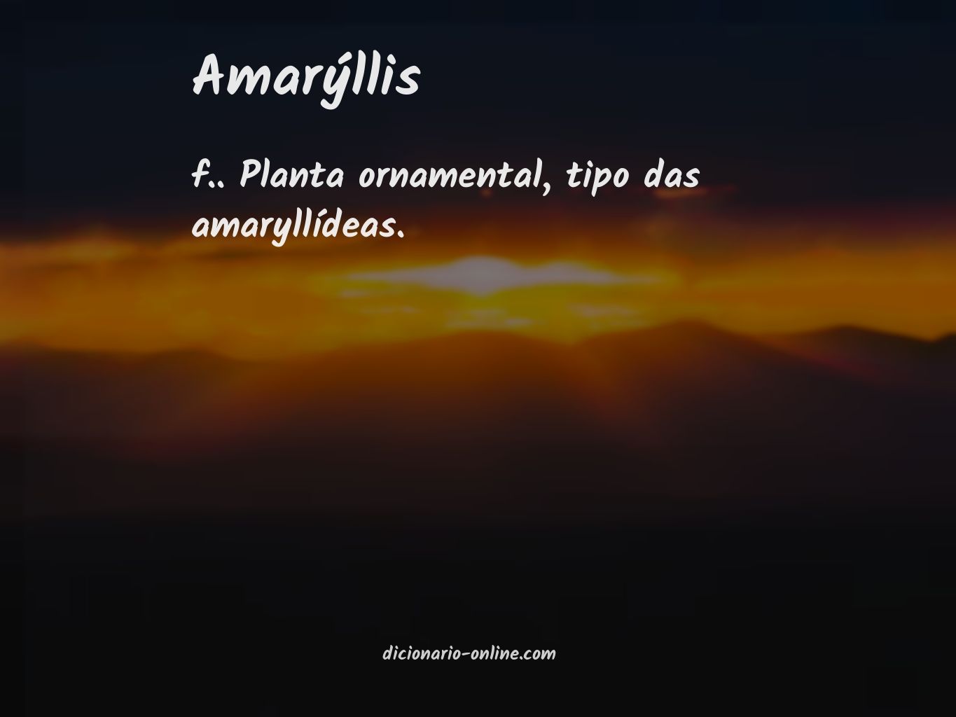 Significado de amarýllis