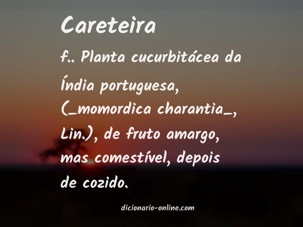 Significado de careteira