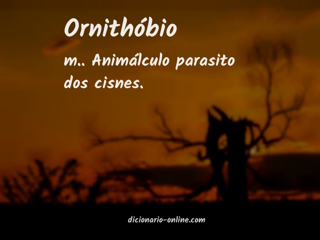 Significado de ornithóbio