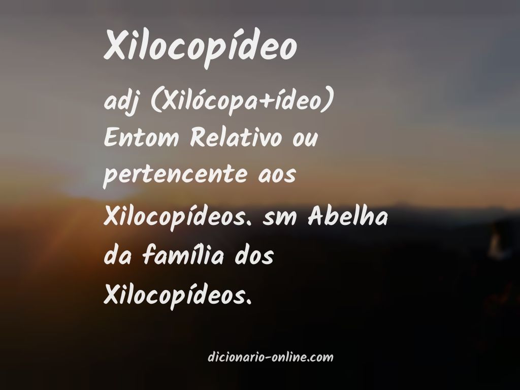 Significado de xilocopídeo