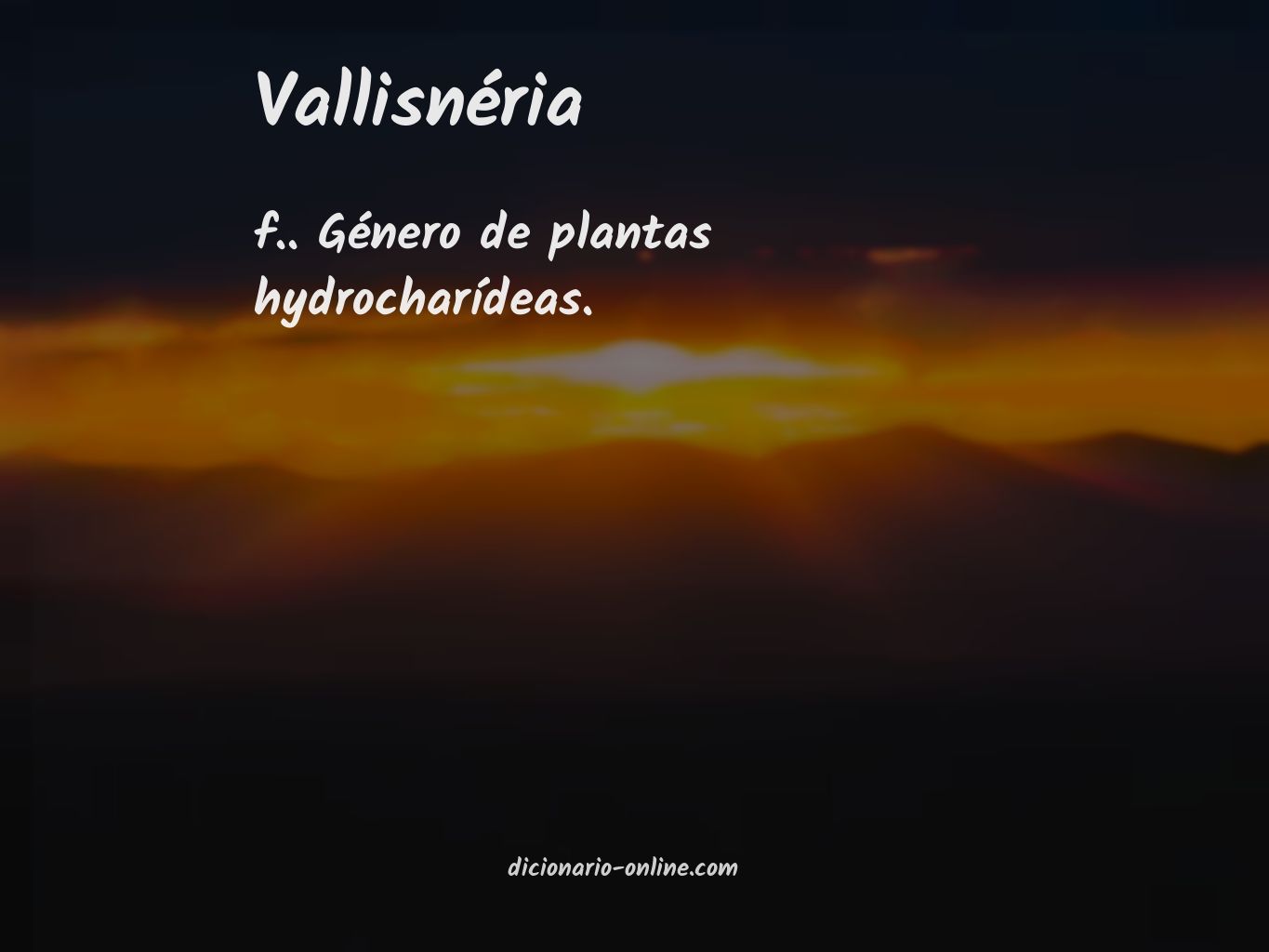 Significado de vallisnéria