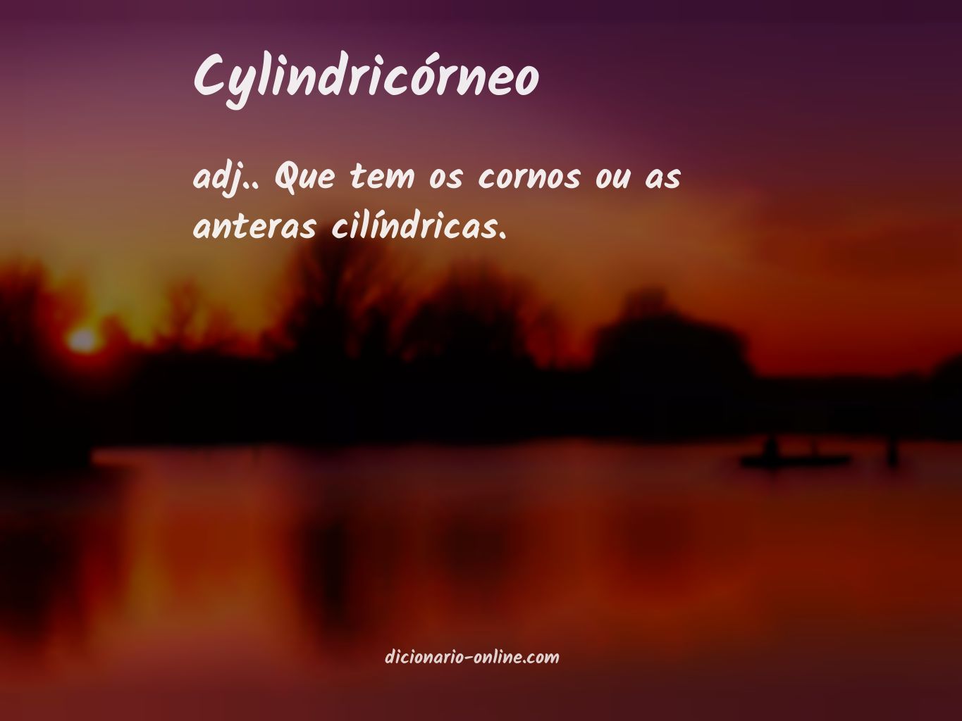 Significado de cylindricórneo