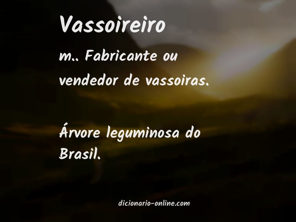 Significado de vassoireiro