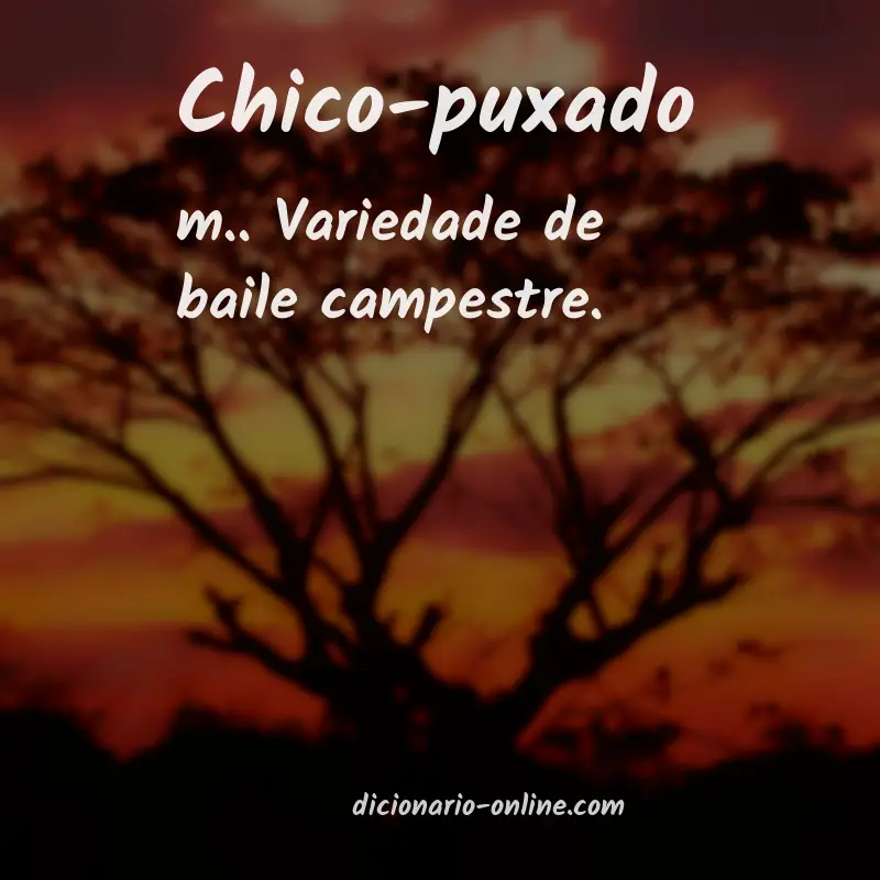 Significado de chico-puxado