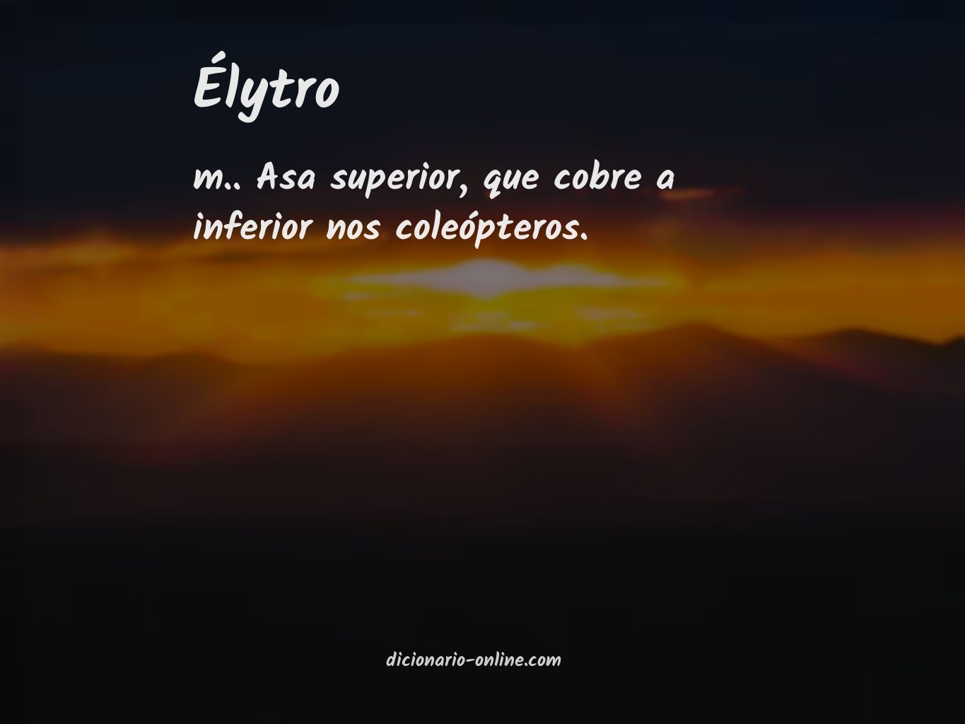 Significado de élytro