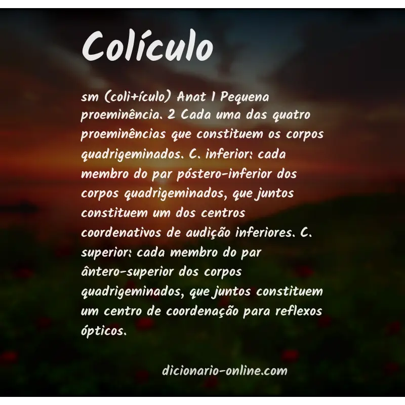 Significado de colículo