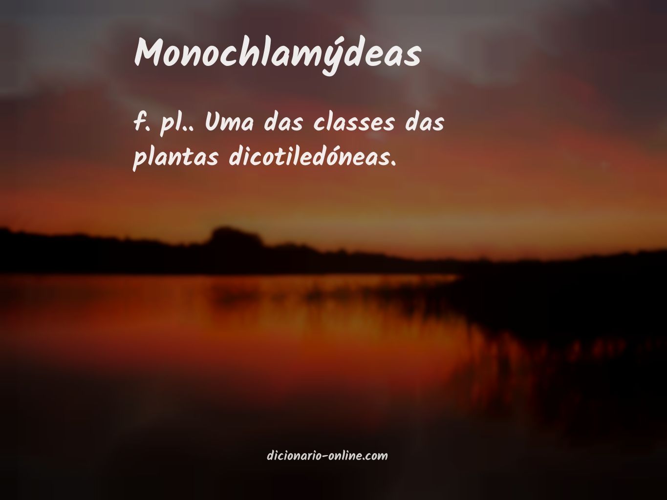 Significado de monochlamýdeas