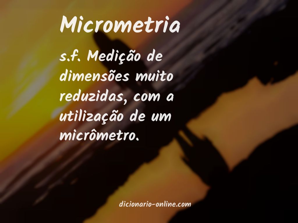Significado de micrometria