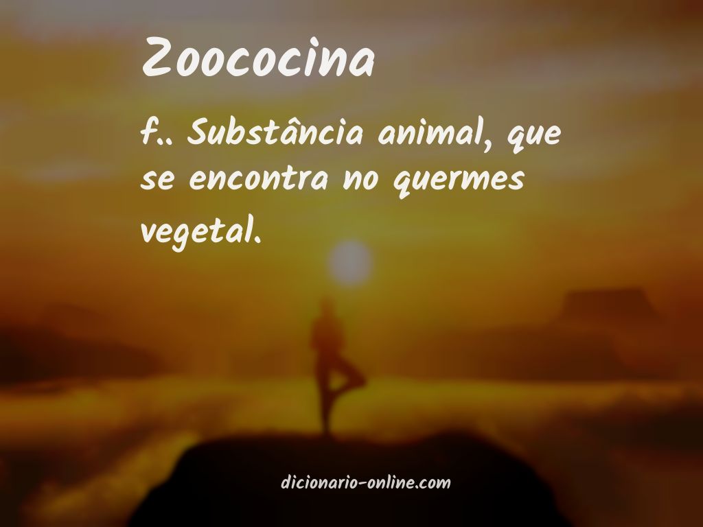 Significado de zoococina