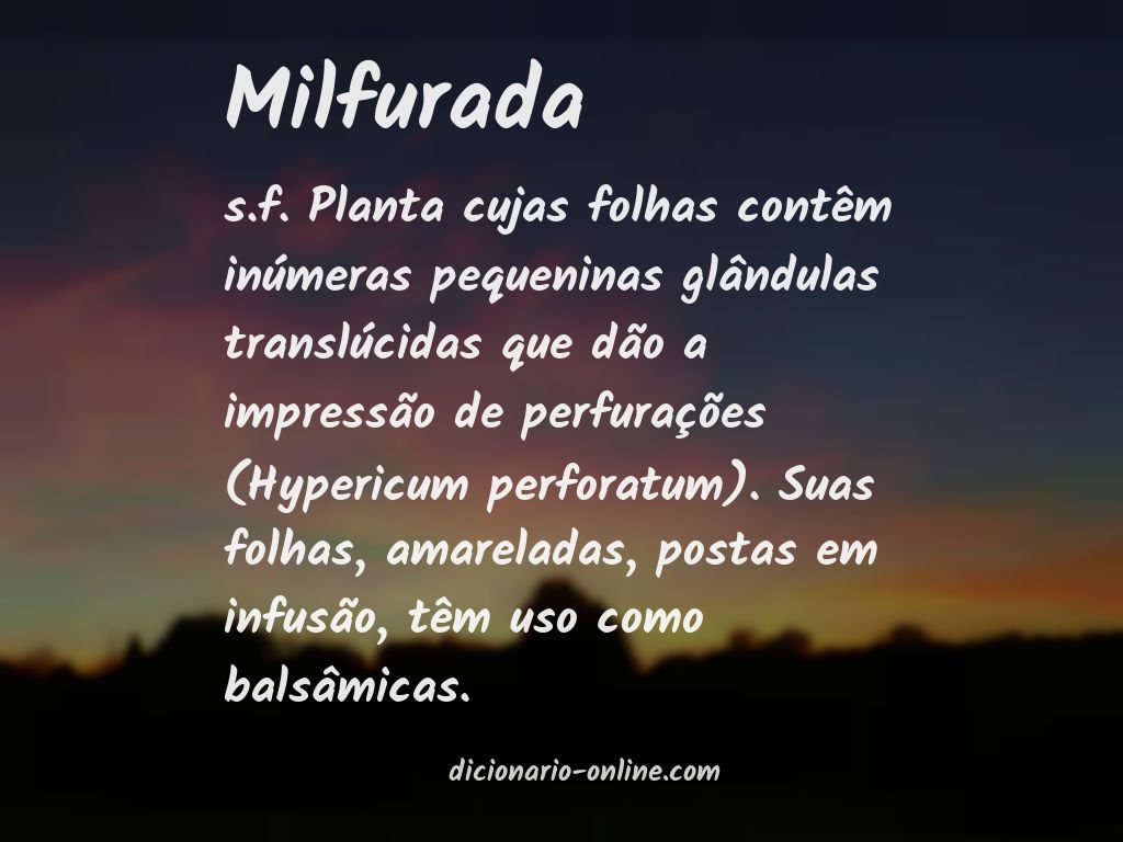 Significado de milfurada