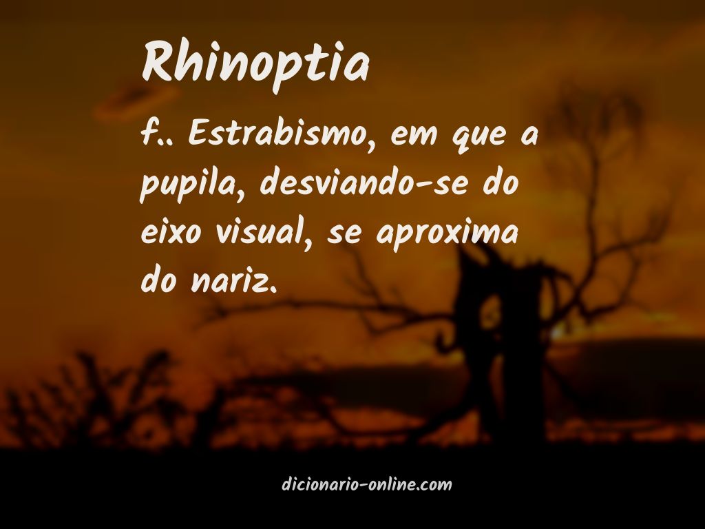 Significado de rhinoptia