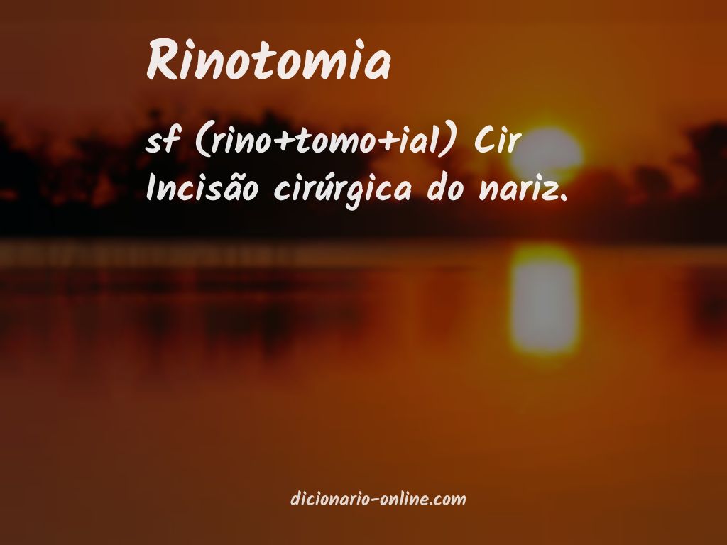 Significado de rinotomia