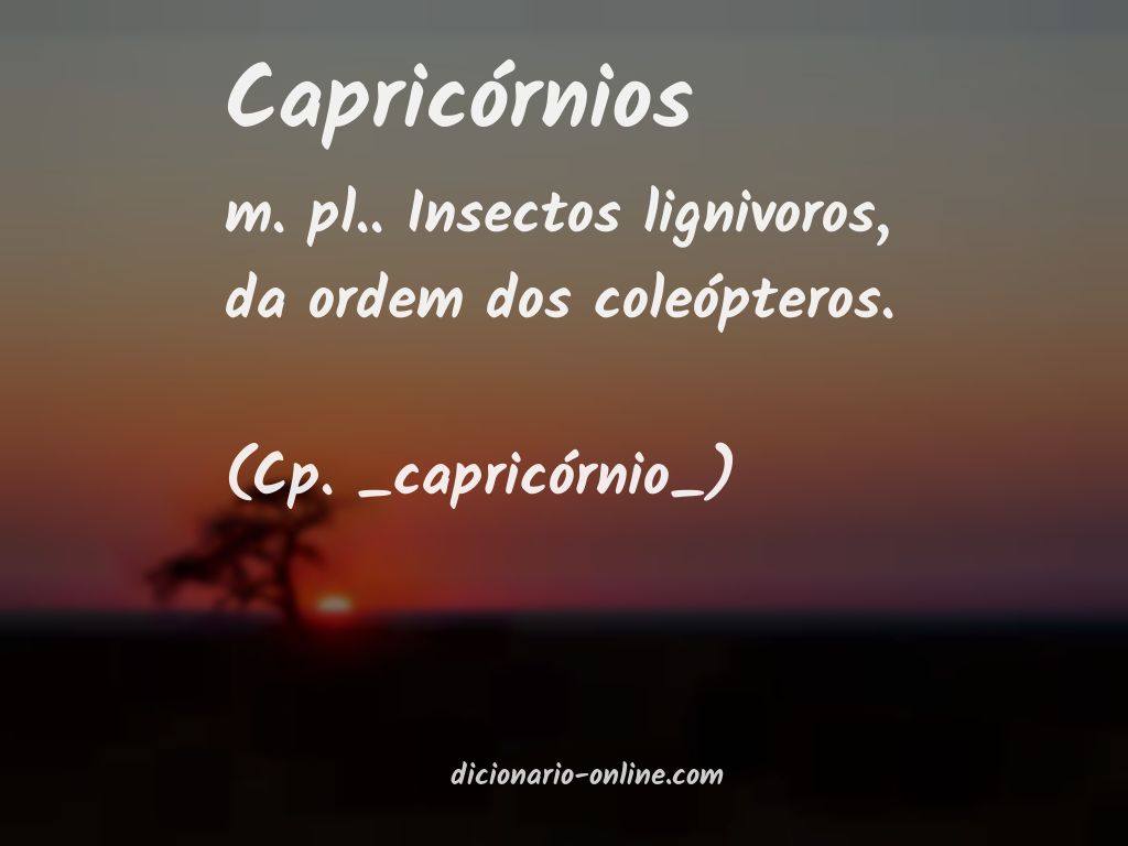 Significado de capricórnios