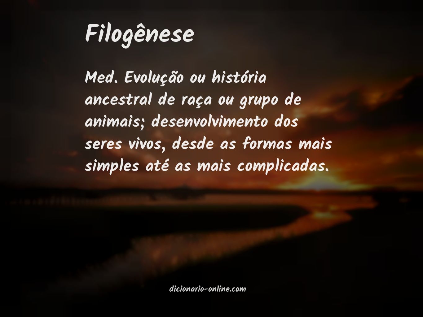 Significado de filogênese