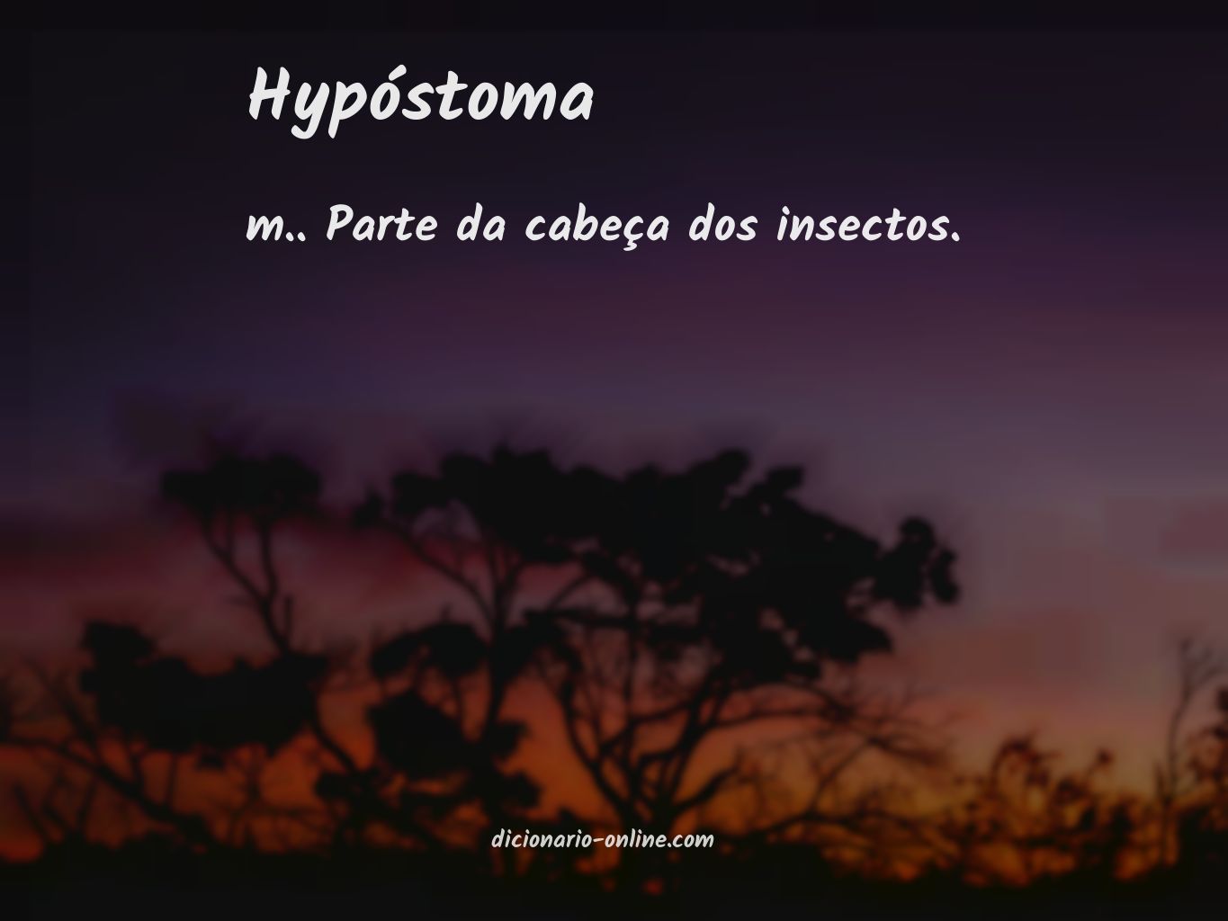 Significado de hypóstoma