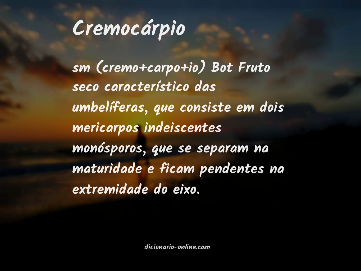 Significado de cremocárpio