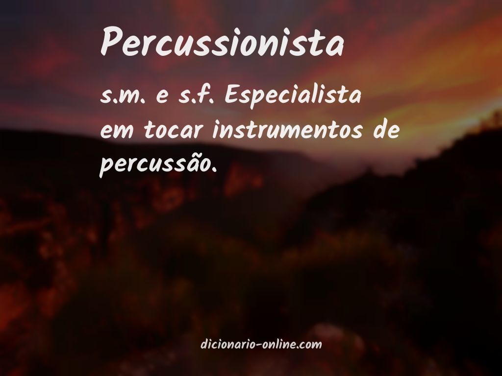 Significado de percussionista