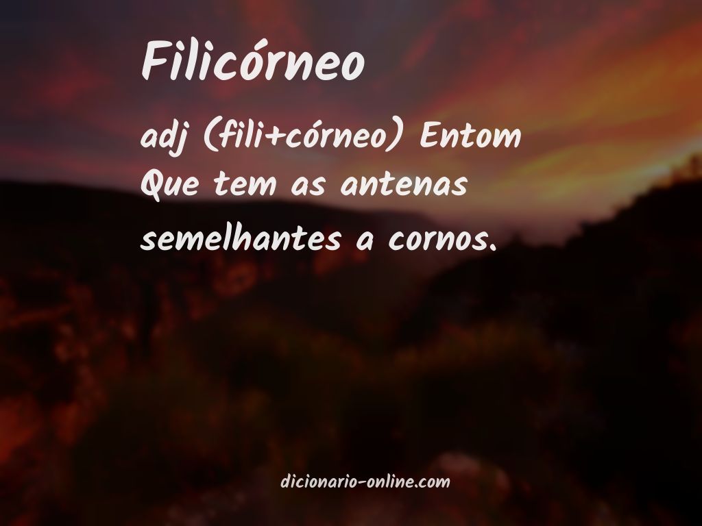 Significado de filicórneo