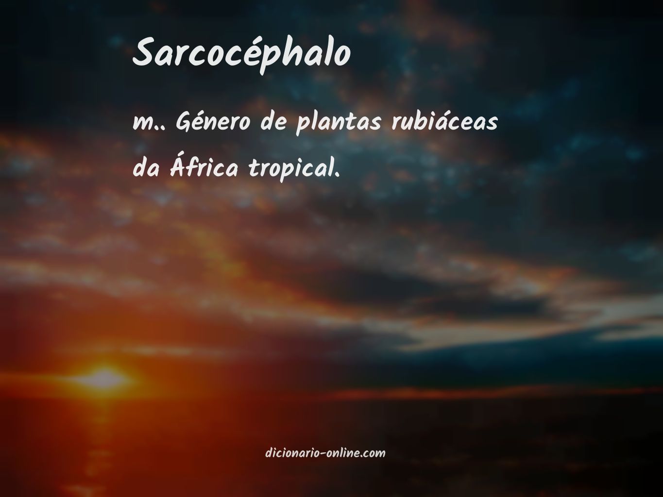 Significado de sarcocéphalo