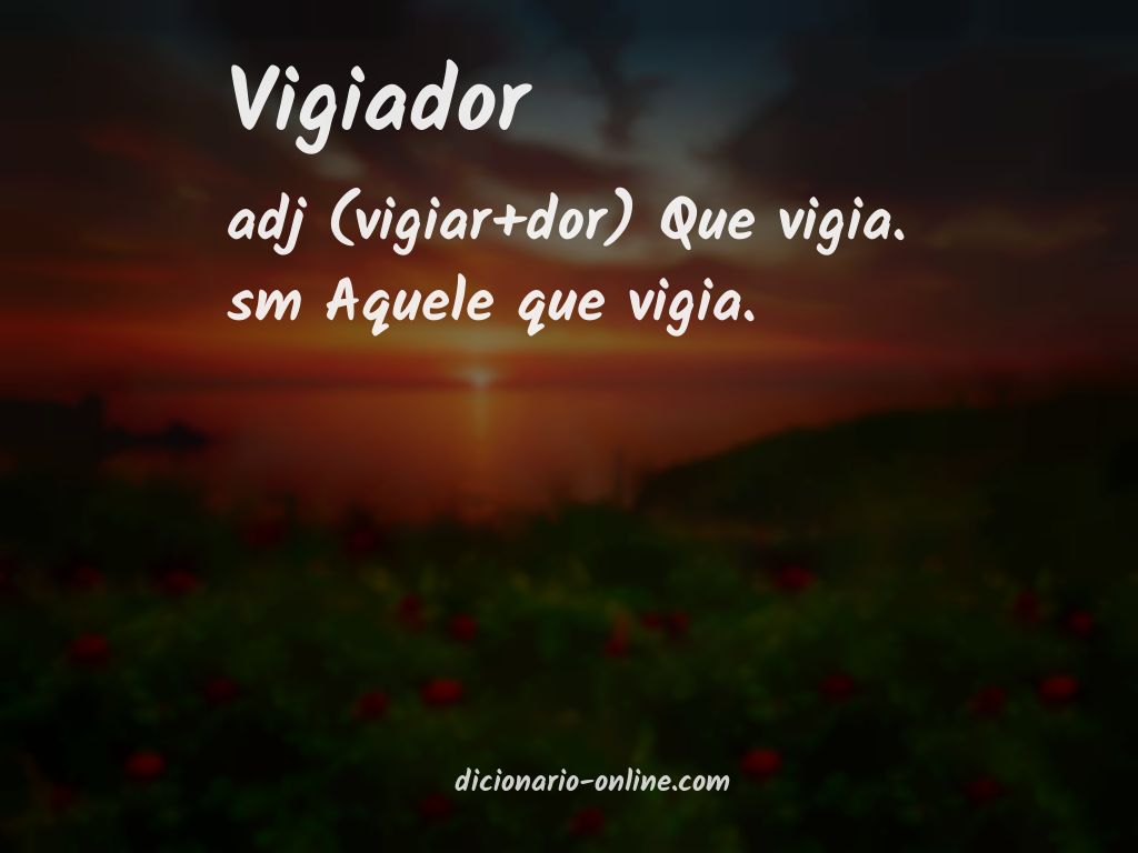 Significado de vigiador