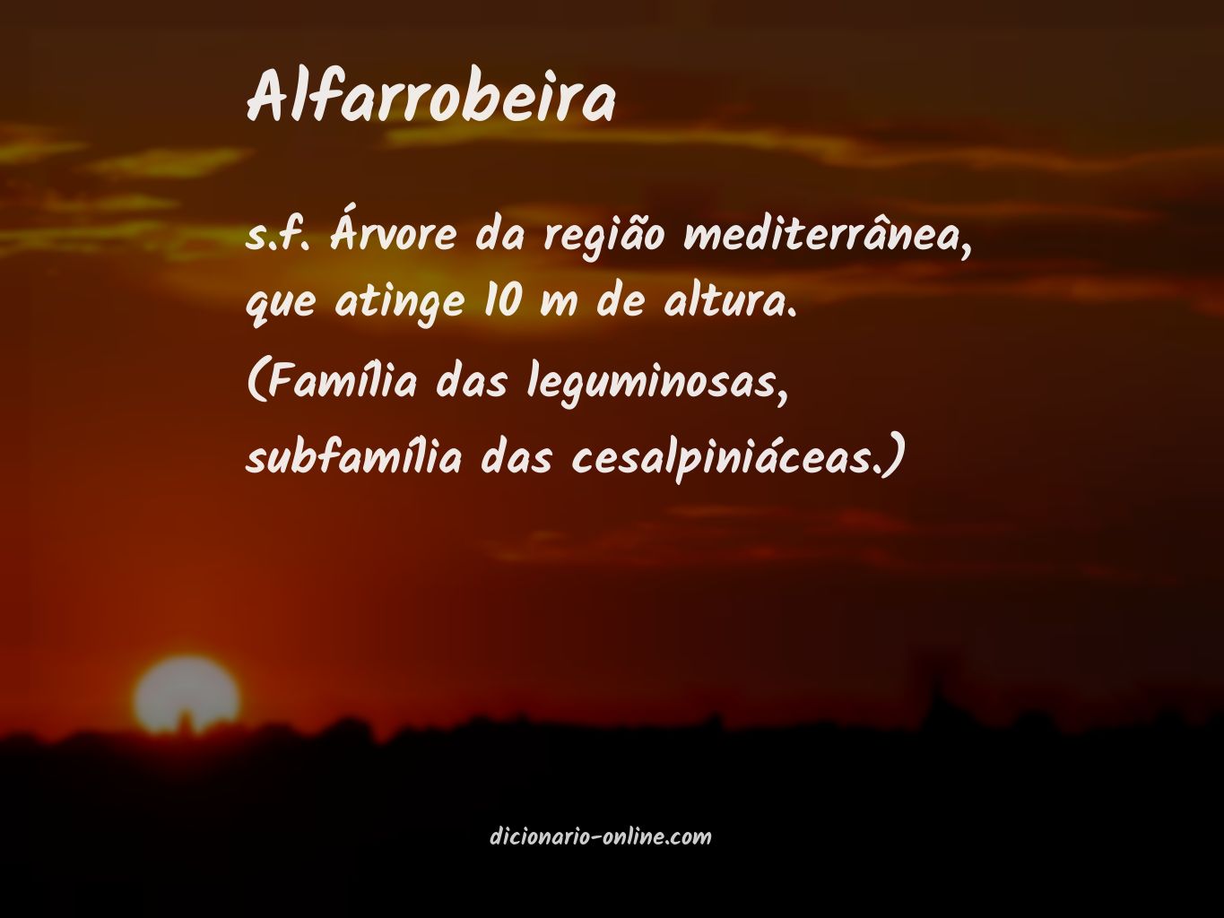 Significado de alfarrobeira