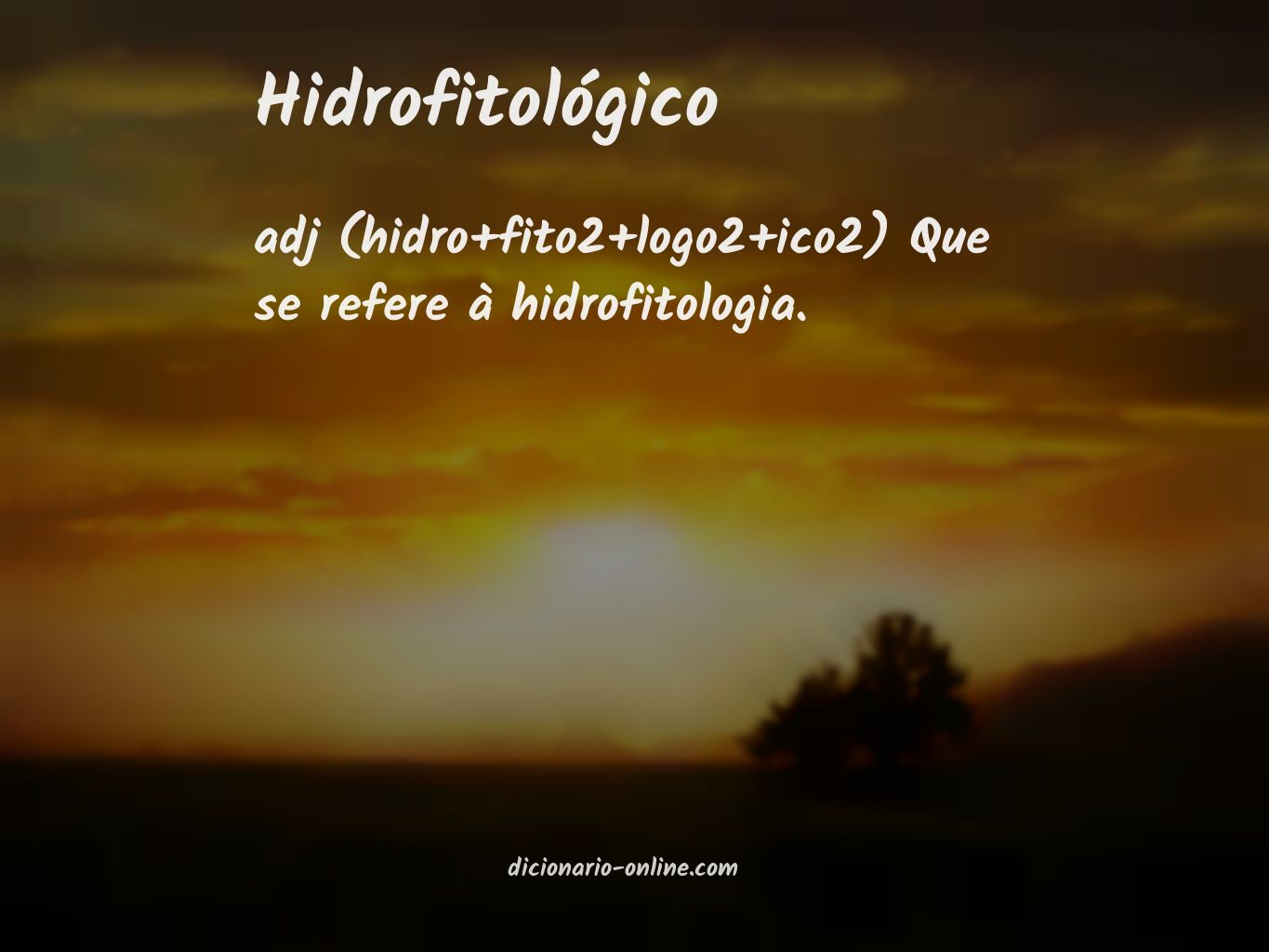 Significado de hidrofitológico