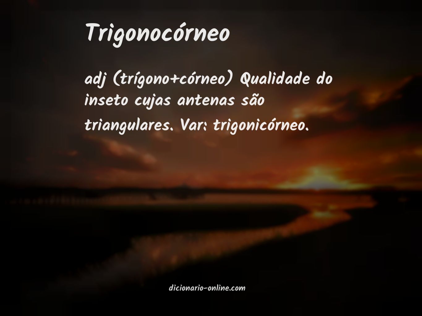 Significado de trigonocórneo