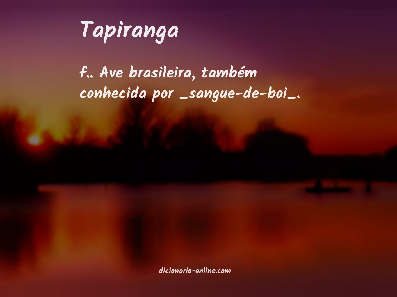 Significado de tapiranga