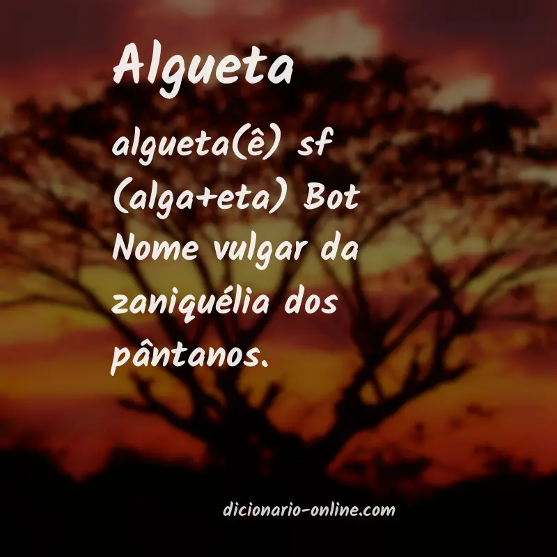 Significado de algueta