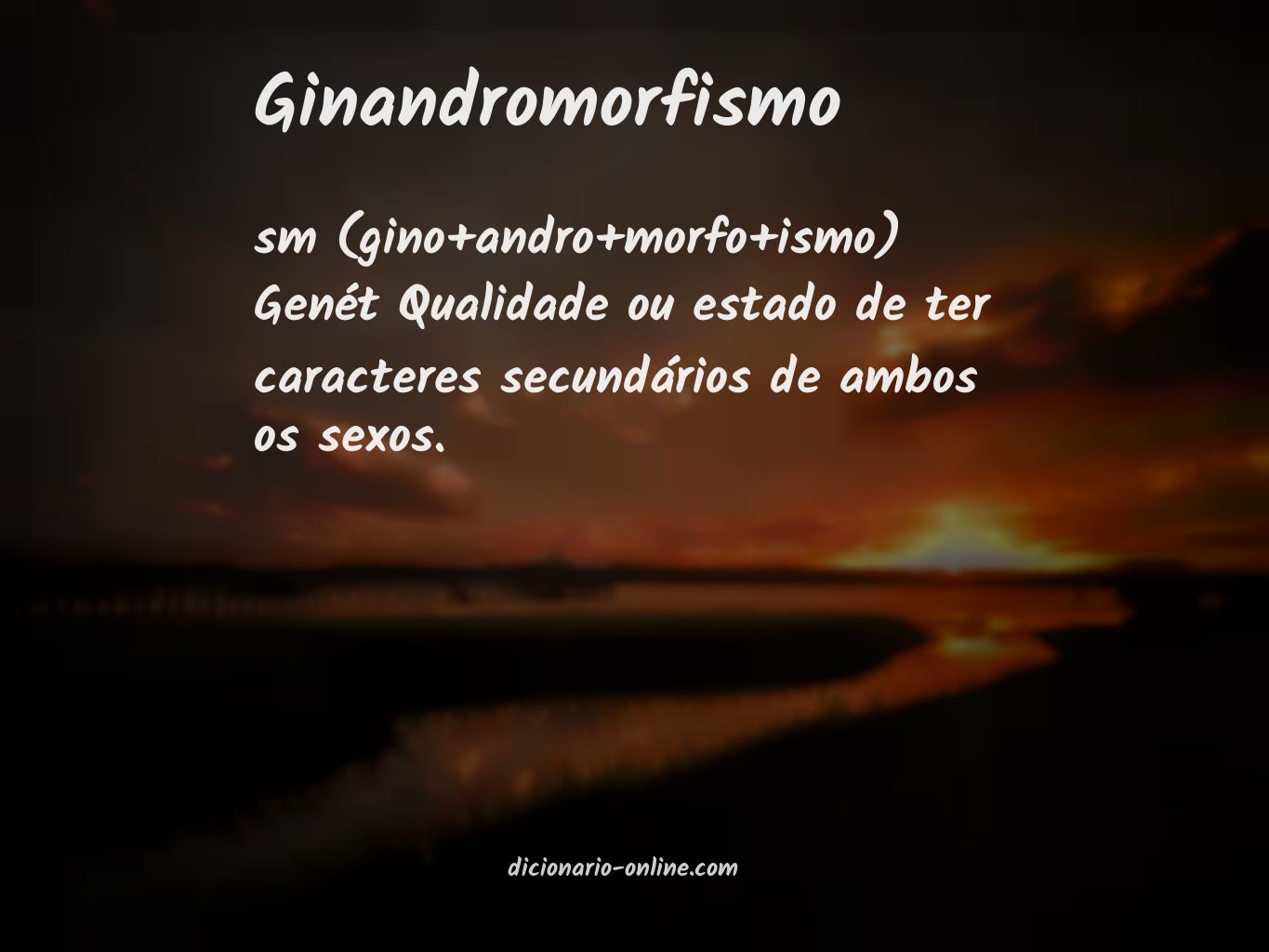 Significado de ginandromorfismo