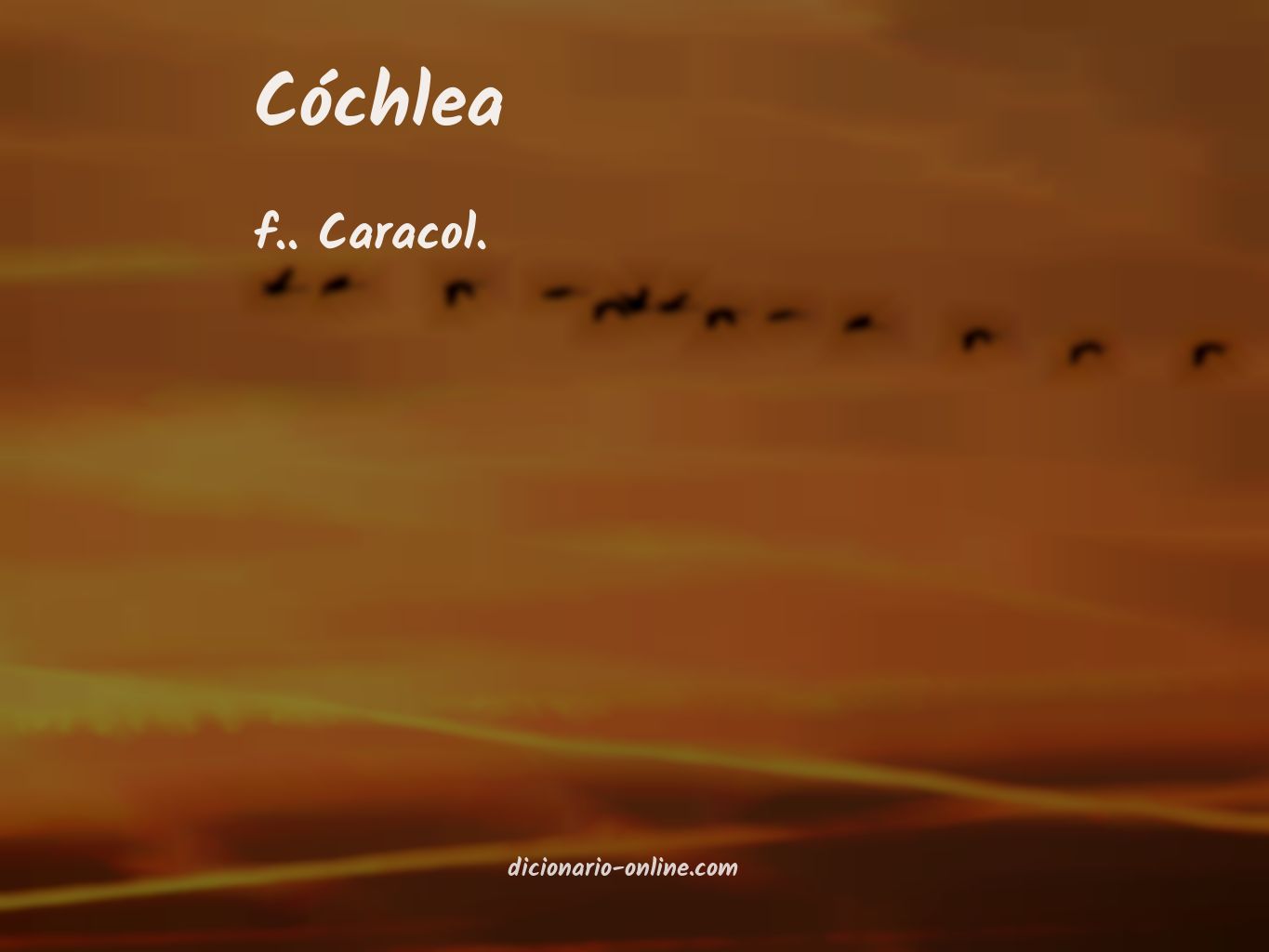 Significado de cóchlea