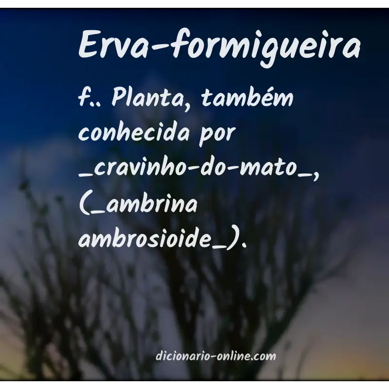 Significado de erva-formigueira