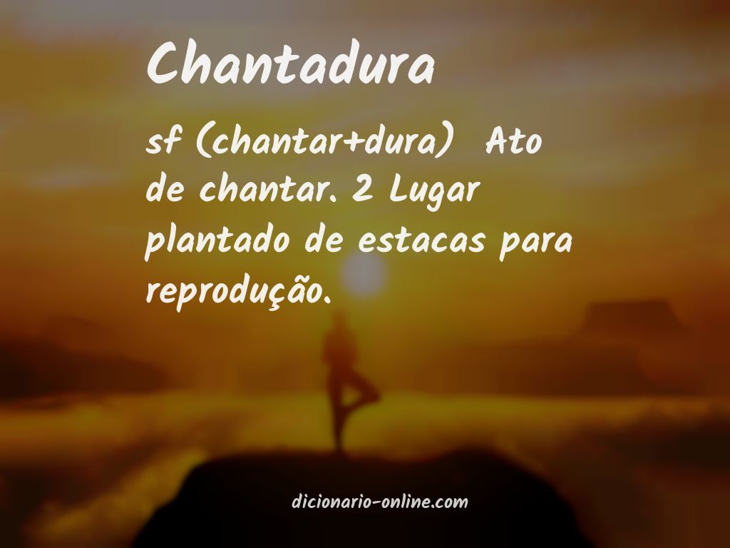 Significado de chantadura