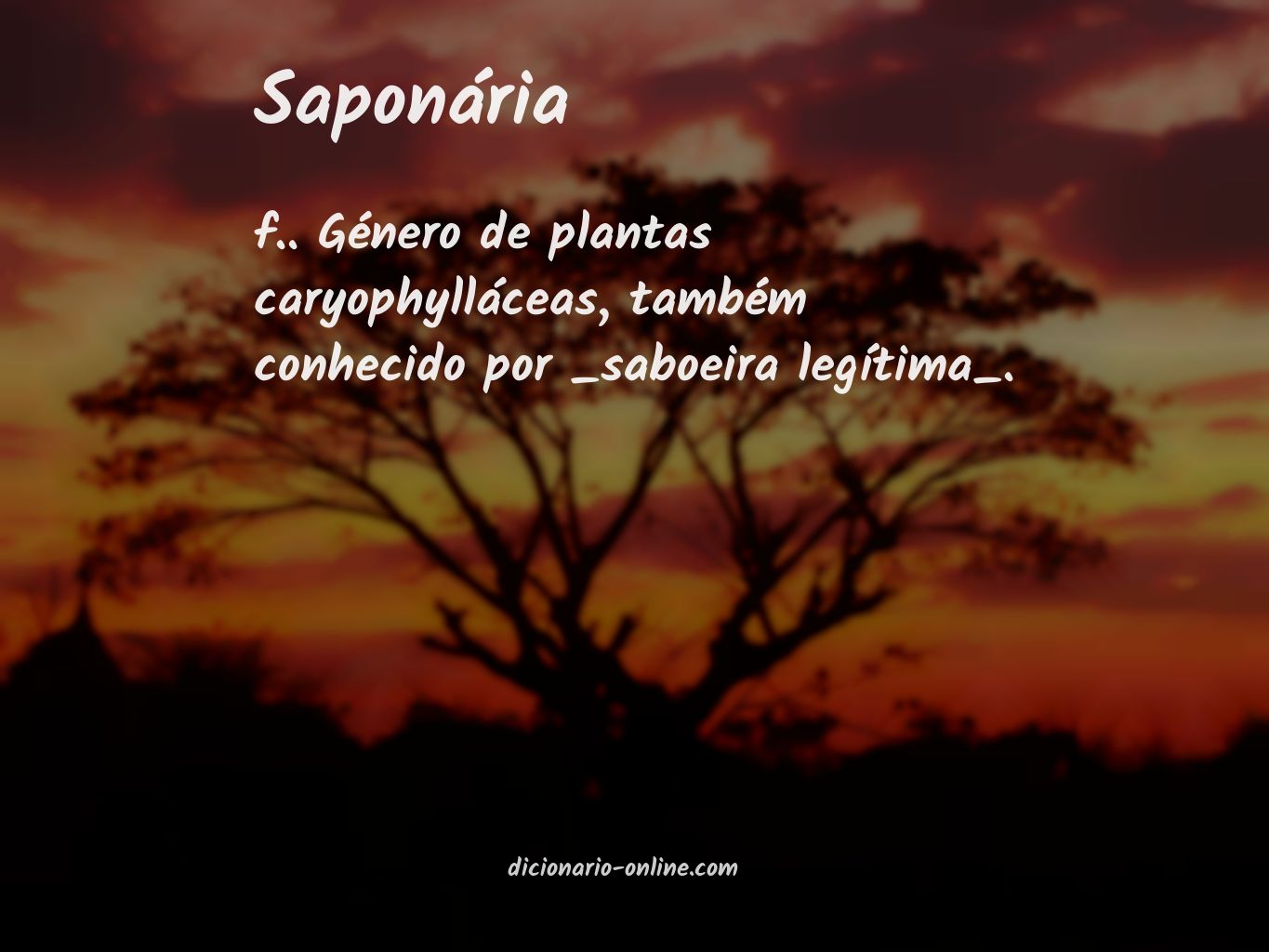 Significado de saponária