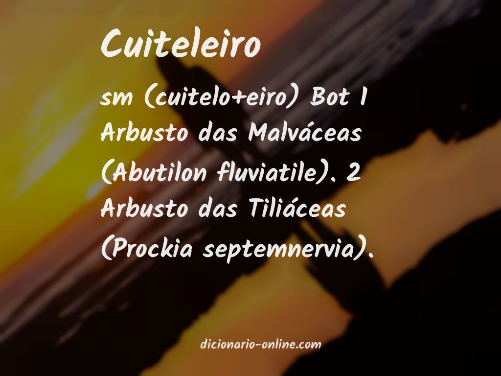 Significado de cuiteleiro