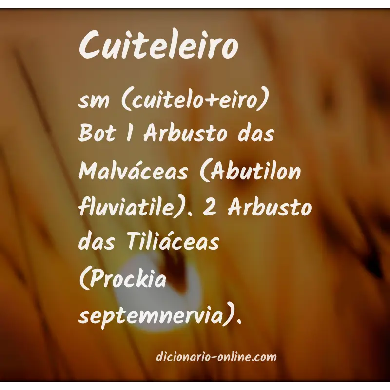 Significado de cuiteleiro